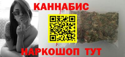 крисы Кулебаки