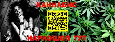 крисы Кулебаки