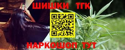 крисы Кулебаки