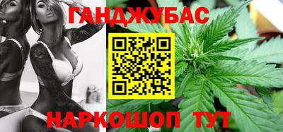 крисы Кулебаки