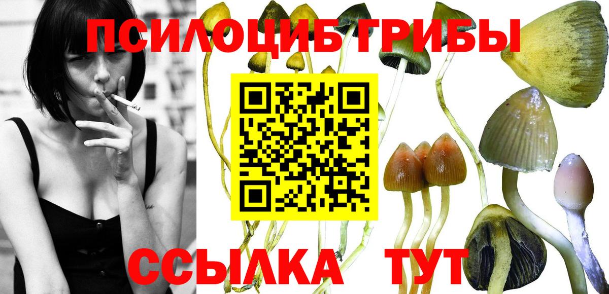 Галлюциногенные грибы Magic Shrooms  где купить наркоту  Гурьевск  Вход с VPN 