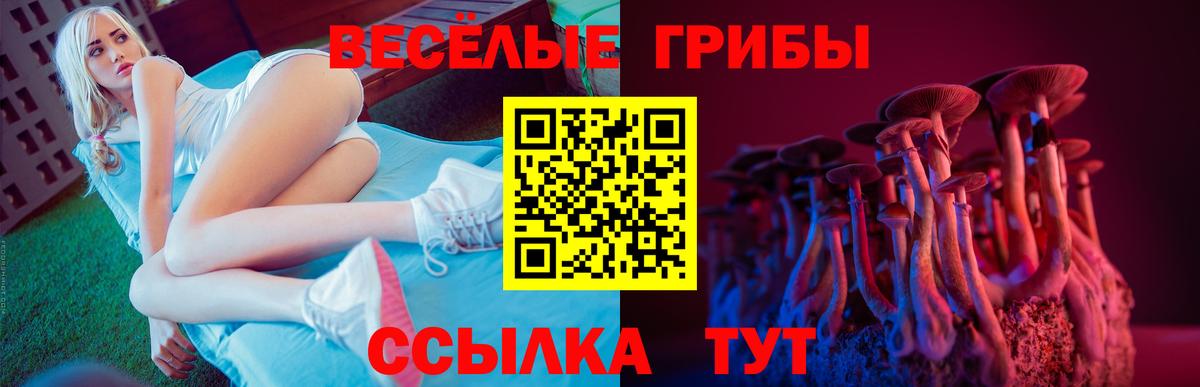 Псилоцибиновые грибы мицелий Гурьевск